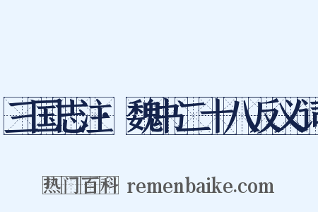 三国志注·魏书二十八反义词是什么意思的图片